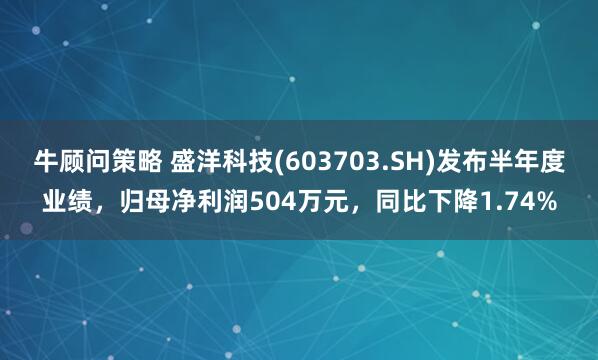牛顾问策略 盛洋科技(603703.SH)发布半年度业绩，归母净利润504万元，同比下降1.74%